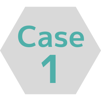 Case1