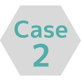 Case2