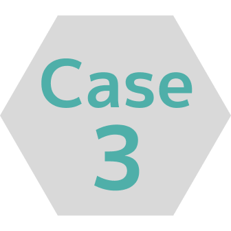 Case3