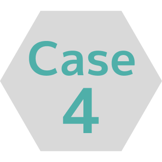 Case4